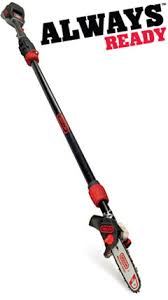 Oregon 40v deals pole saw